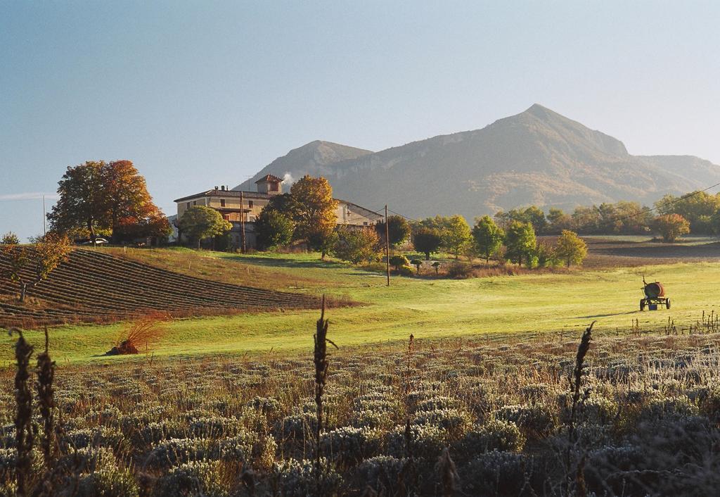 Le Vallon Des Sources Aparthotel Digne-les-Bains Esterno foto