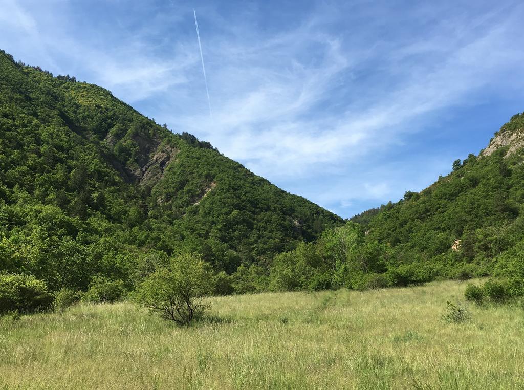 Le Vallon Des Sources Aparthotel Digne-les-Bains Esterno foto